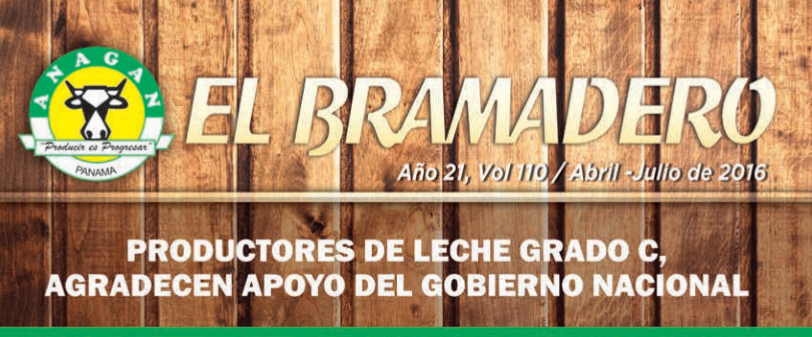 Revista El Bramadero
